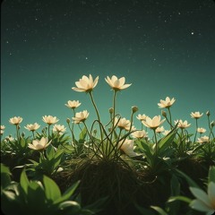 Codex Canticle XVII: The Communion Bloom