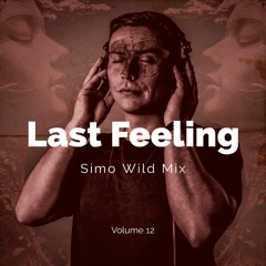 Last Feeling Volume 12 (Simo Wild Mix)