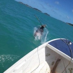 🎭ᴍᴀʟᴇᴇᴋ ʙᴇʀʀʏ-ɪ'ᴍ ꜱᴘʀᴜɴɢ x ᴋᴏɴᴛʀᴏʟ (ᴍᴀꜱʜᴜᴘ) ꜰᴛ. ᴛ-ᴘᴀɪɴ🔥