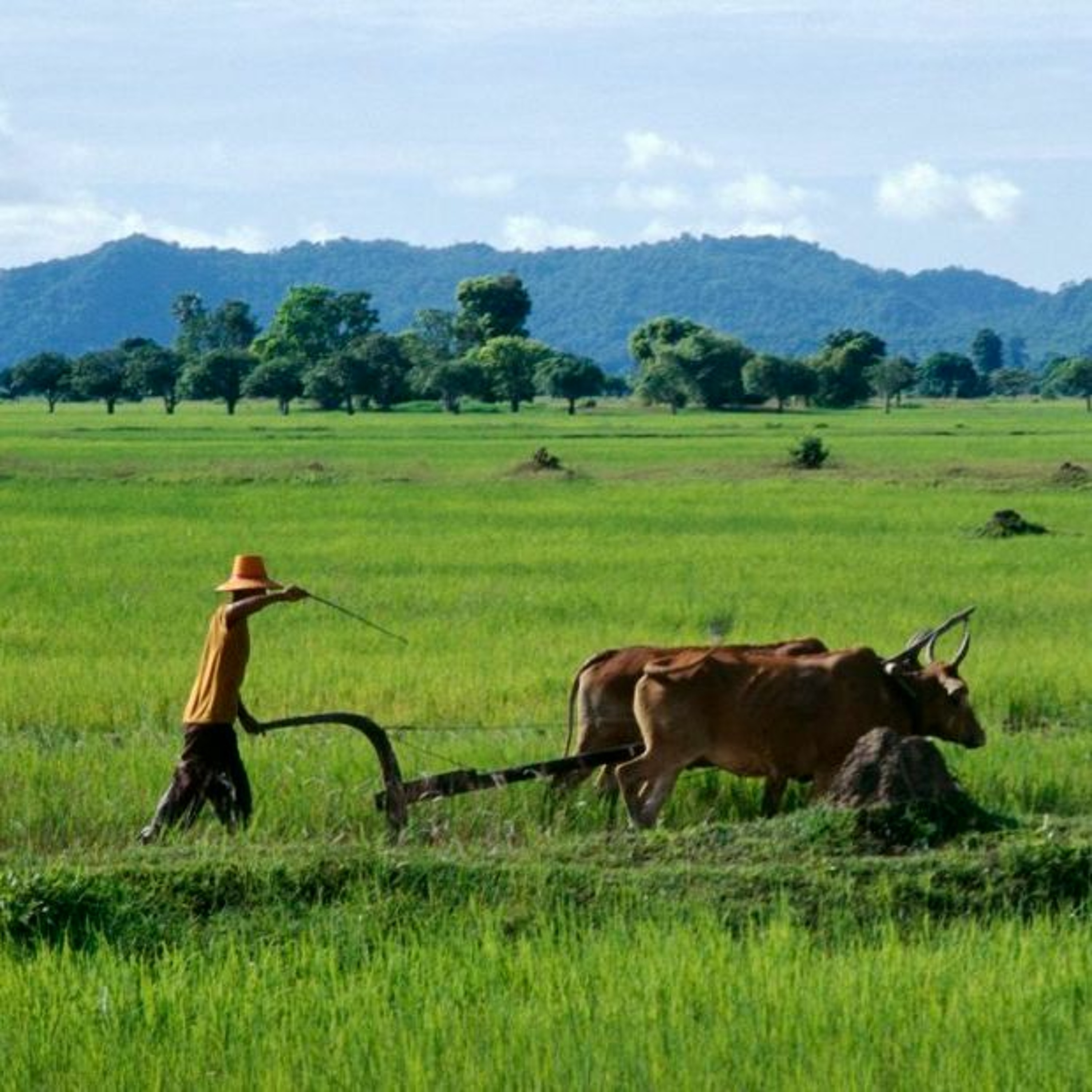 Climate change, environment and humanitarian action in Southeast Asia