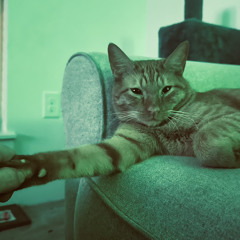 His name is Mac