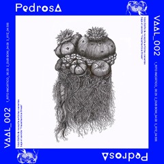 Pedrosa - dub-bow