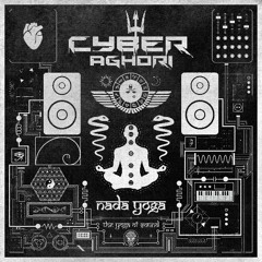 3.  Cyber Aghori - Swaroopa