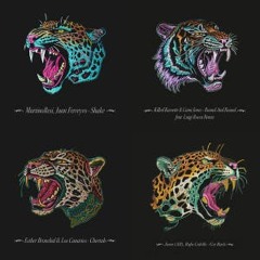 303Jaguars