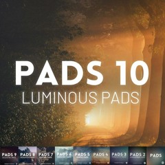 Pads Samples (All Sets)