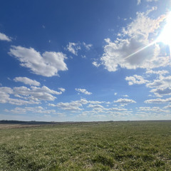 birds of a feather-billie eillish [aib sounds / slowed]