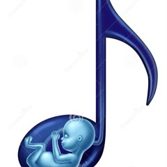 like the rainfall // prod neverforever