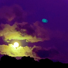 The Odd Ball Oct 28, 2023 @Sumland - Big Island Hawaii