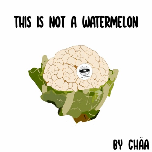 This is not a watermelon #7 : "House Barboteur" by Chäa