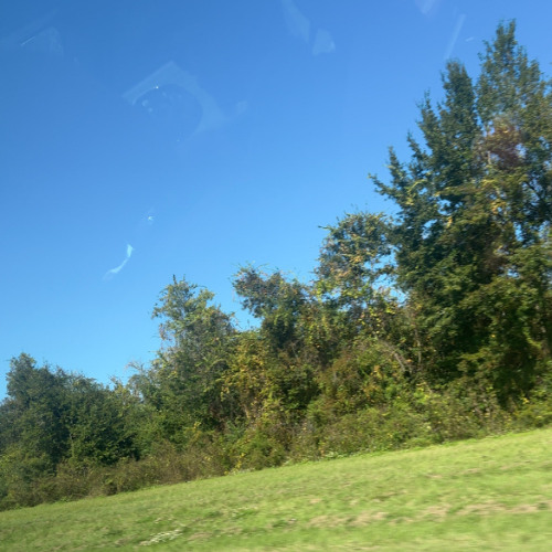 cadence prod arae-turn