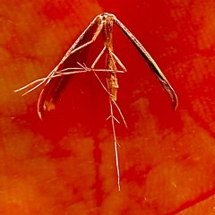 That One Best Kept Secret