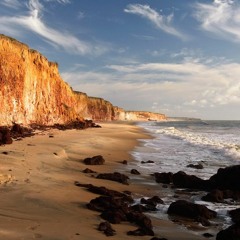 Sparta Coastal Mix
