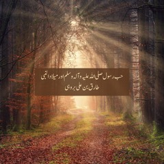 Hub e Rasool Aur Milad Un Nabi - Tariq bin Ali Brohi