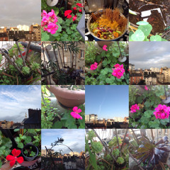 1621 Chaos et Solitude sous un Ciel Rouge 8 mars 2025 Master