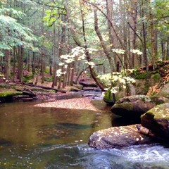 Arise, Abide, Dissolve