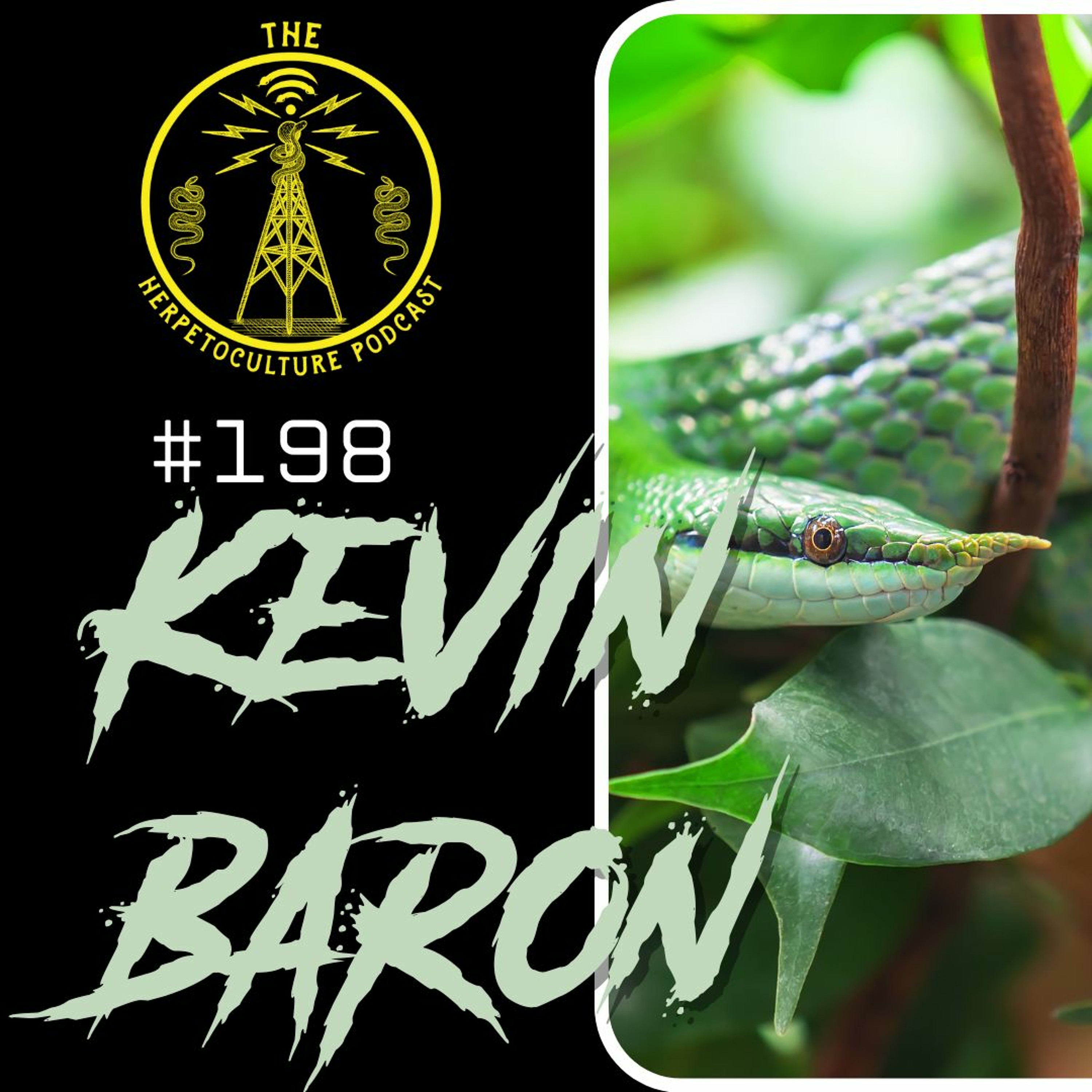 Kevin Baron - Mutant Reptiles | THP - #198