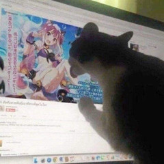 誰かに会う日 \ experiment 4