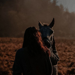 مش سليم حمزة نمرة بدون موسيقى
