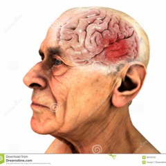 Rally - Pärleporten Live