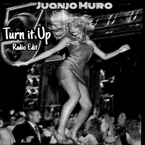 Turn it Up (Radio Edit)