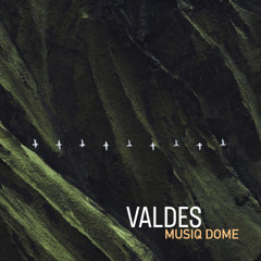 Valdes - Organic House 08.2022