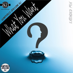What You Want (Extended Mix)