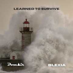 DomAir feat. Blexia - Learned To Survive