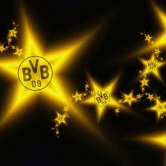 Zeu - BVB [birdschipinn & don louis edit]