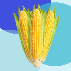 it's corn
