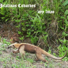 Novo e irado: Rock alternativo