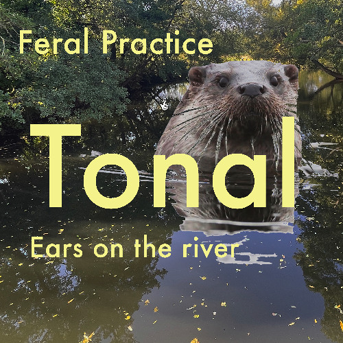 Tonal Ears on the River Event_FINAL