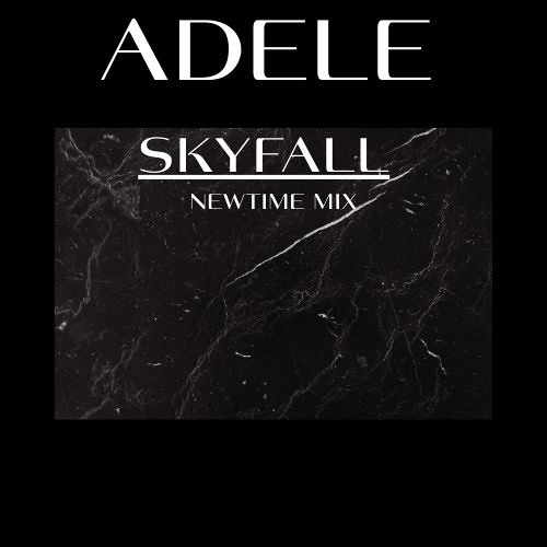 Skyfall(Newtime mix)