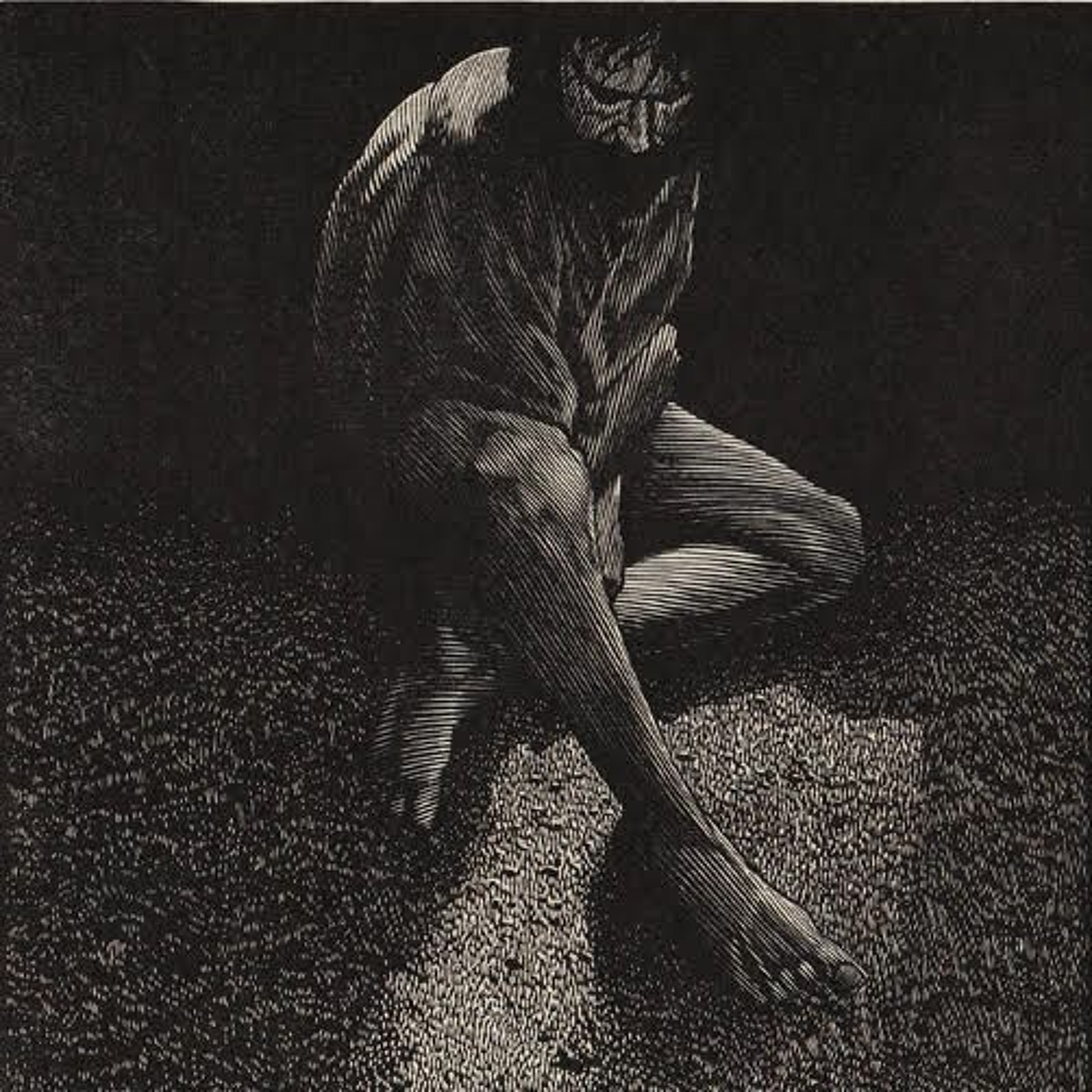 07/02/23 When You Least Expect It (Genesis 39:1-23) episode artwork