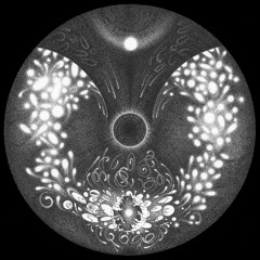 Kindred @ dis:close // Station Endlos