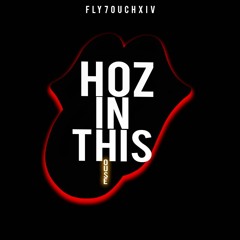 FLY7OUCHXIV-Hoes In This House preview