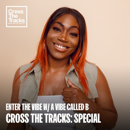 Enter the Vibe w/ A Vibe Called B - Show 005 - Cross the Tracks: Special