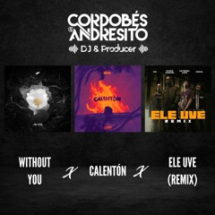 Calentón X Without You X Ele Uve (Remix) (Cordobés & Andresito MASHUP) [PREVIEW]