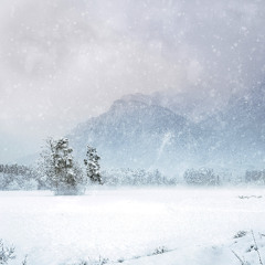 Snowscape (naviarhaïku584)