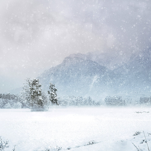 Snowscape (naviarhaïku584)