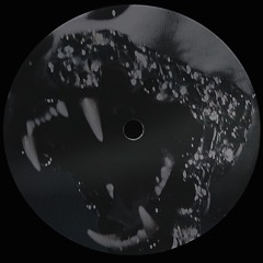 Gabriel Titier - nest