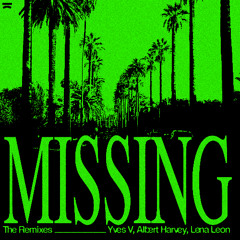 Missing (Top Radio Remix)