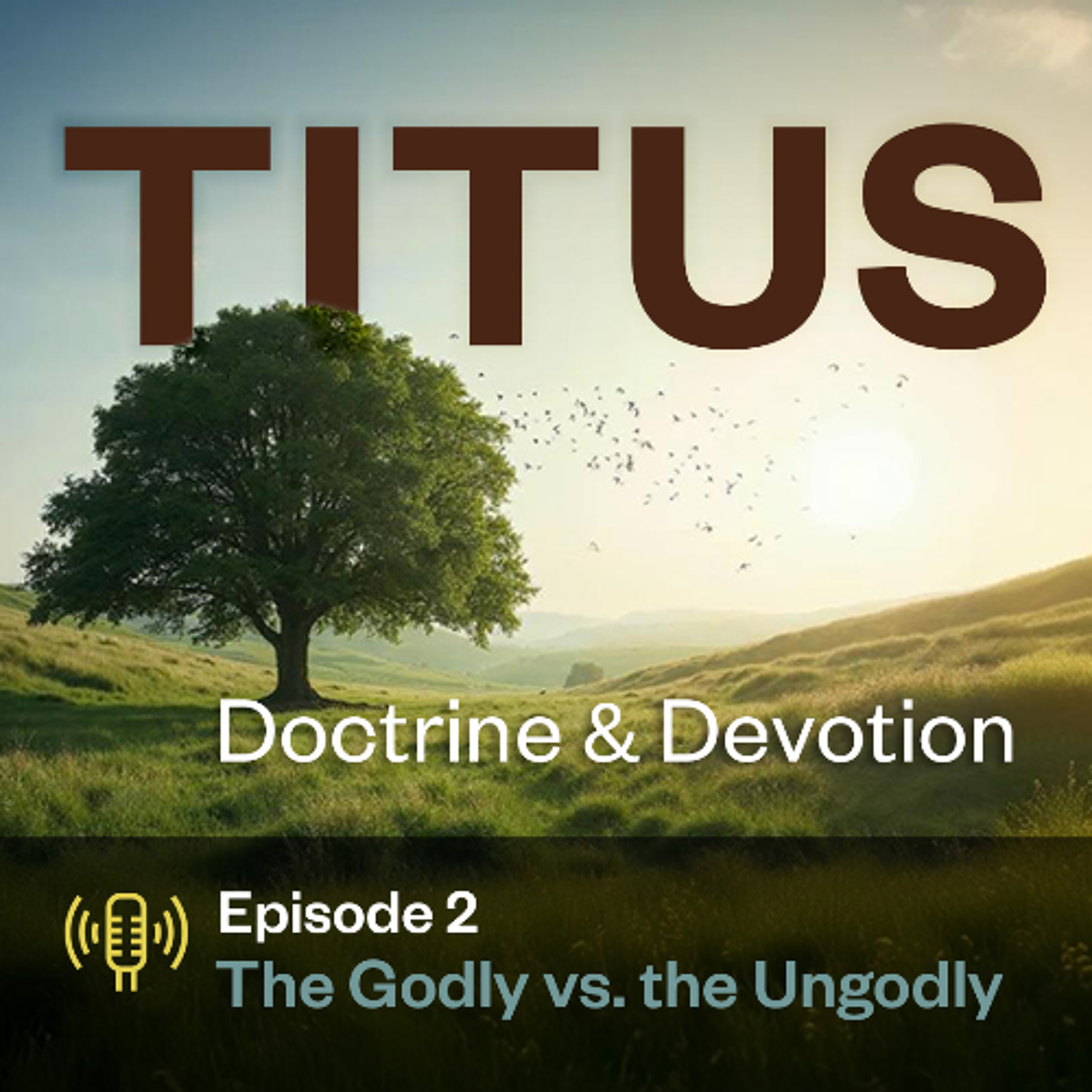 Titus – Ep 2 episode artwork