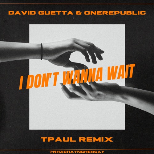 David Guetta & OneRepublic - I Don't Wanna Wait (TPaul Remix)