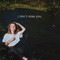 i don’t miss you.