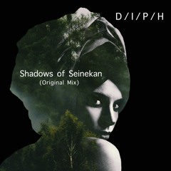Shadows of Seinekan(Original Mix)