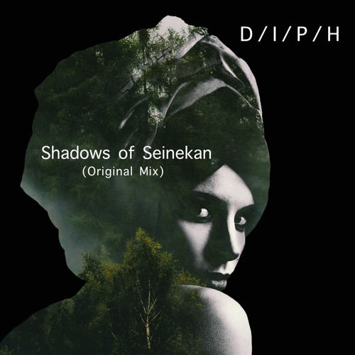 Shadows of Seinekan(Original Mix)