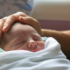 Léa - Aigle royal · Scylla · Sofiane Pamart