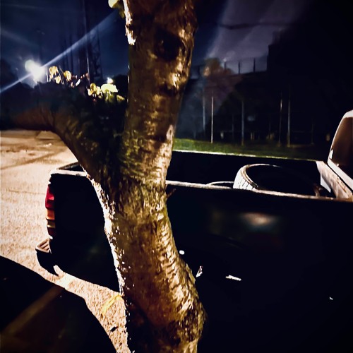 leatherscars (prod GREY MI$fit)