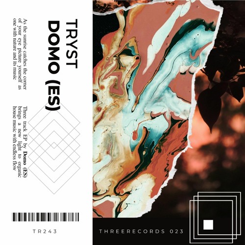 Stream [PREMIERE] DOMO(ES) - Tryst (ThreeRecordsUK) by 𝐂𝐚𝐦𝐞𝐥 𝐕𝐈𝐏 ...
