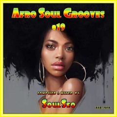 Afro Soul Grooves #19